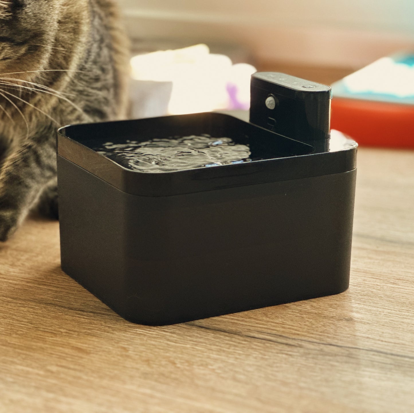 PurePet™ Oasis - Fountain & Care Kit Bundle