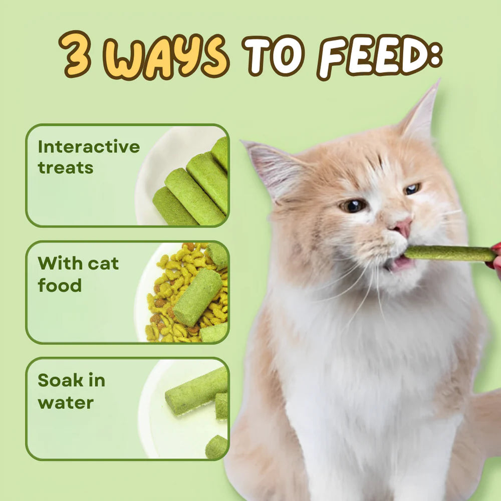 PurePet™ Organic Cat Grass Chews (5 Pack)
