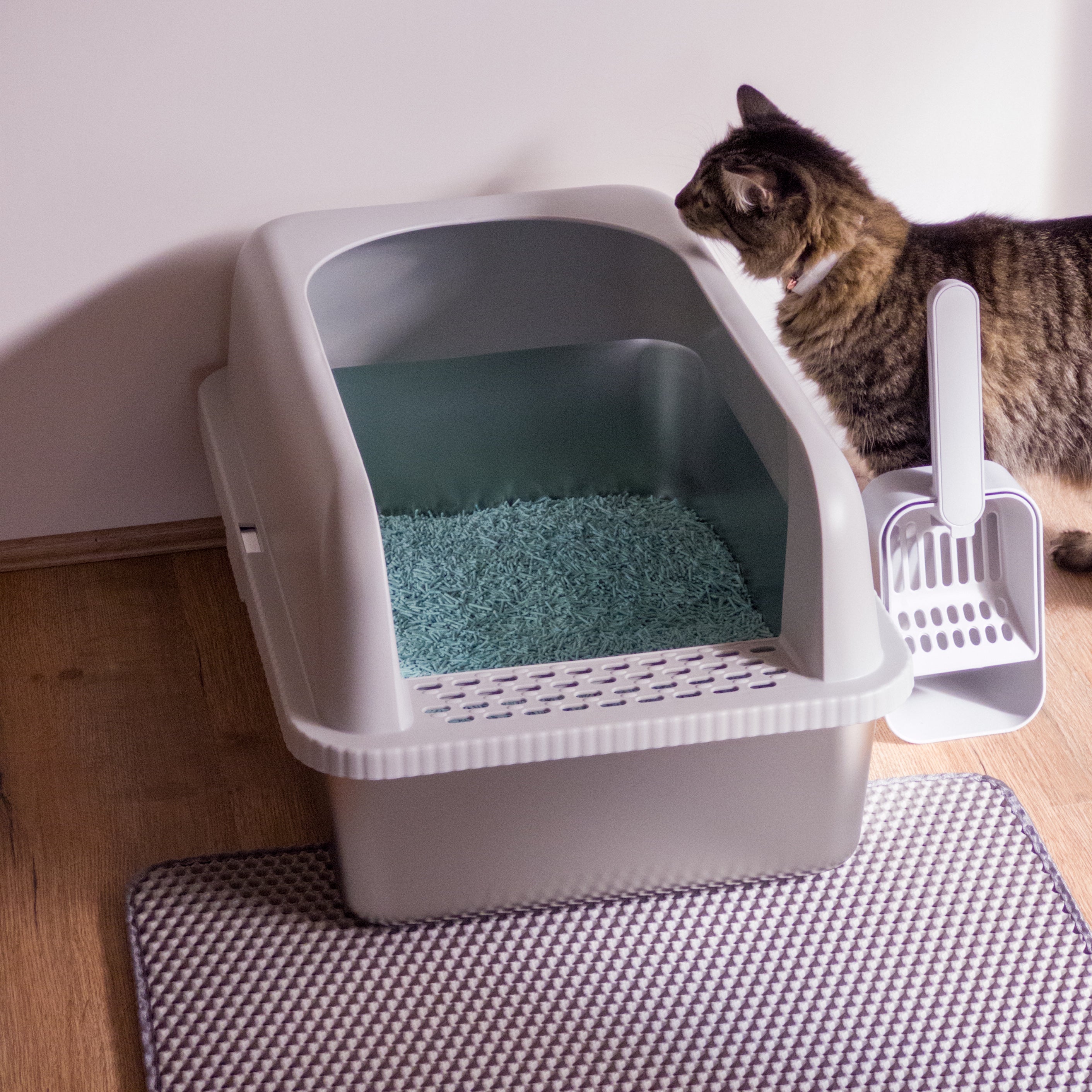 PurePet™ XXL Stainless Steel Litter Box