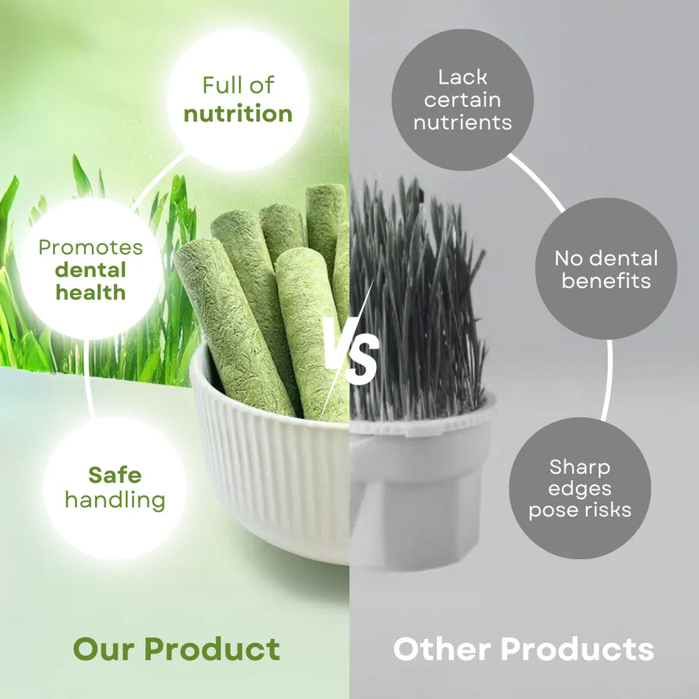 PurePet™ Organic Cat Grass Chews (5 Pack)