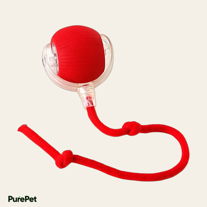 PurePet™ Turbo Tails Interactive Cat Ball