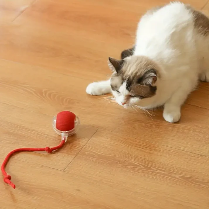PurePet™ Turbo Tails Interactive Cat Ball