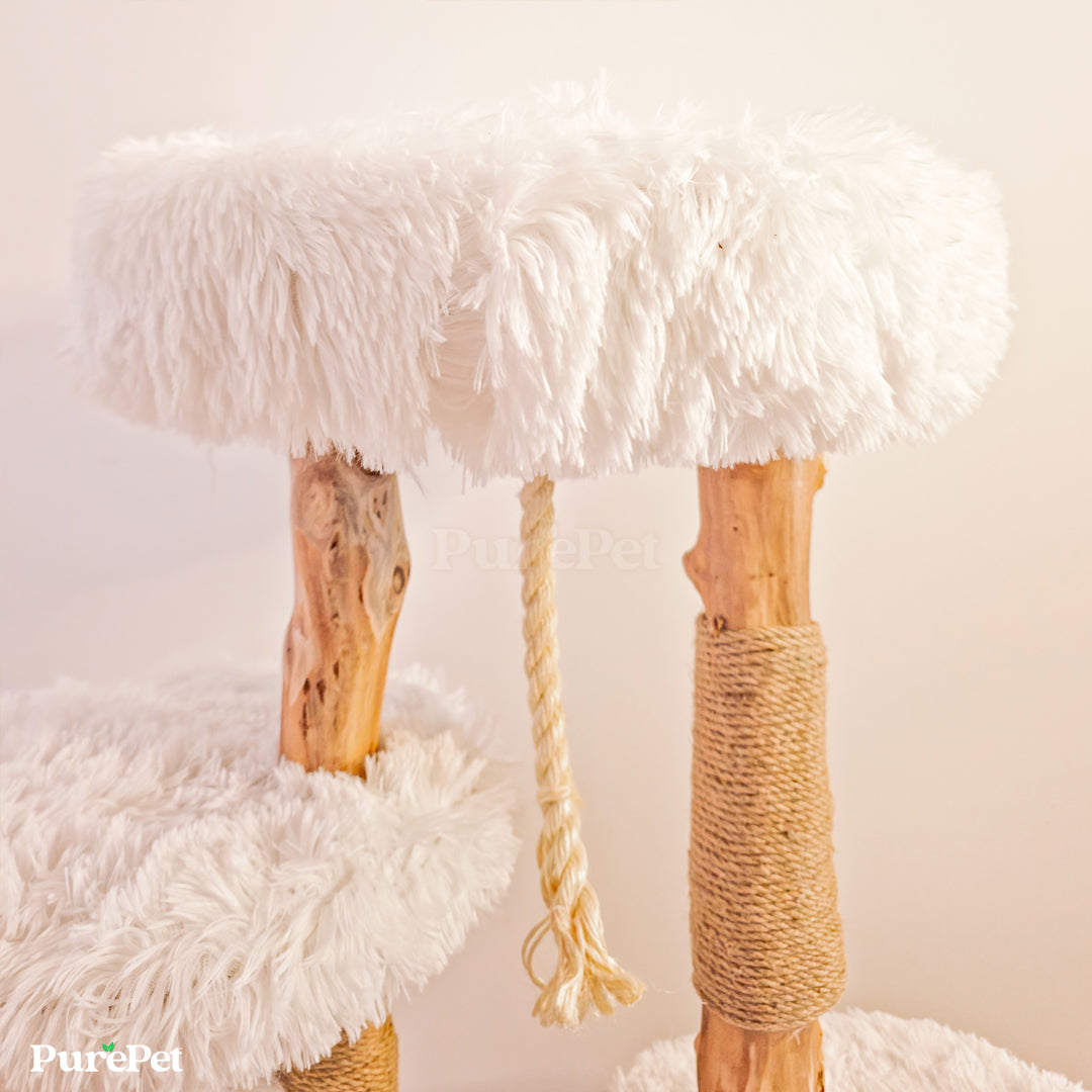 PurePet™ Banksia Solid Wood Premium Cat Tower