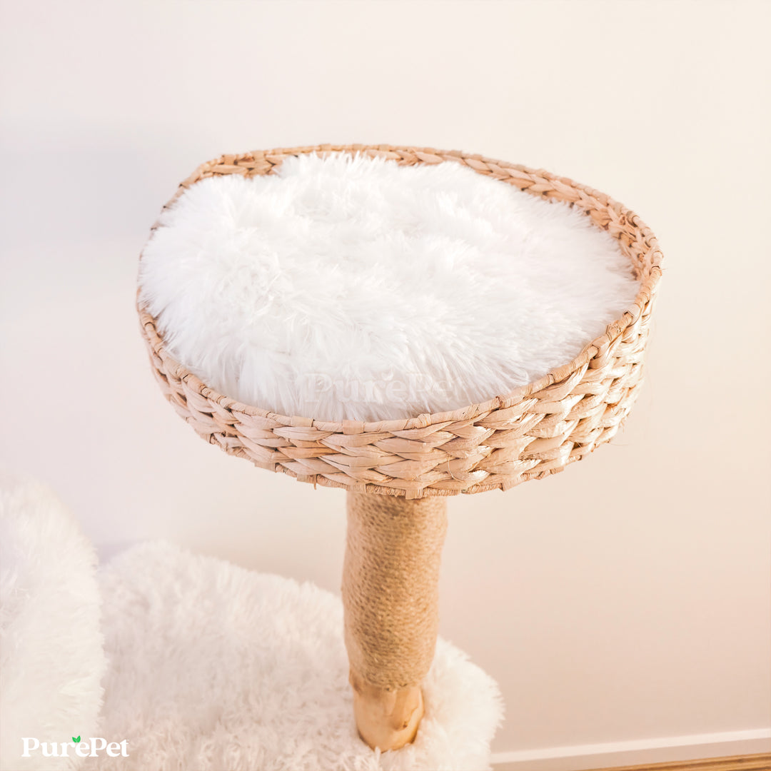 PurePet™ Kimberley Solid Wood Premium Cat Tower