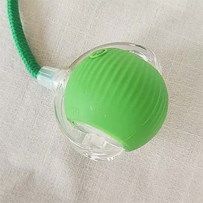 TurboTail™ Interactive Cat Toy