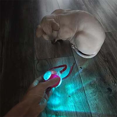 TurboTail™ Interactive Cat Toy