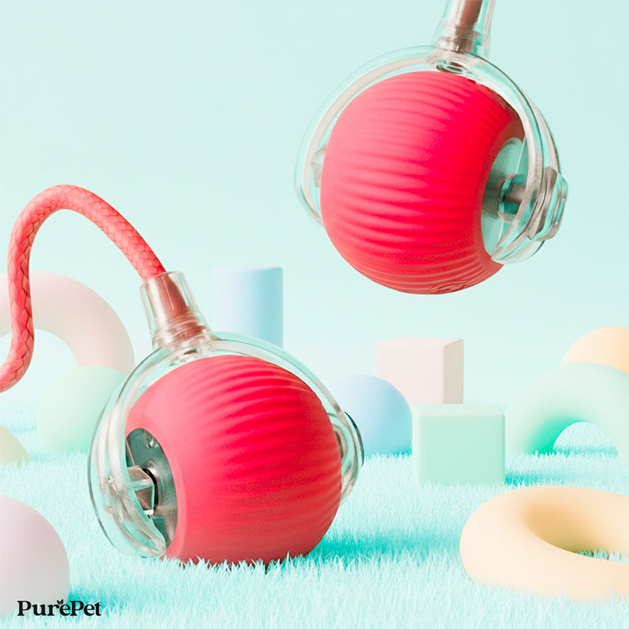 TurboTail™ Interactive Cat Toy