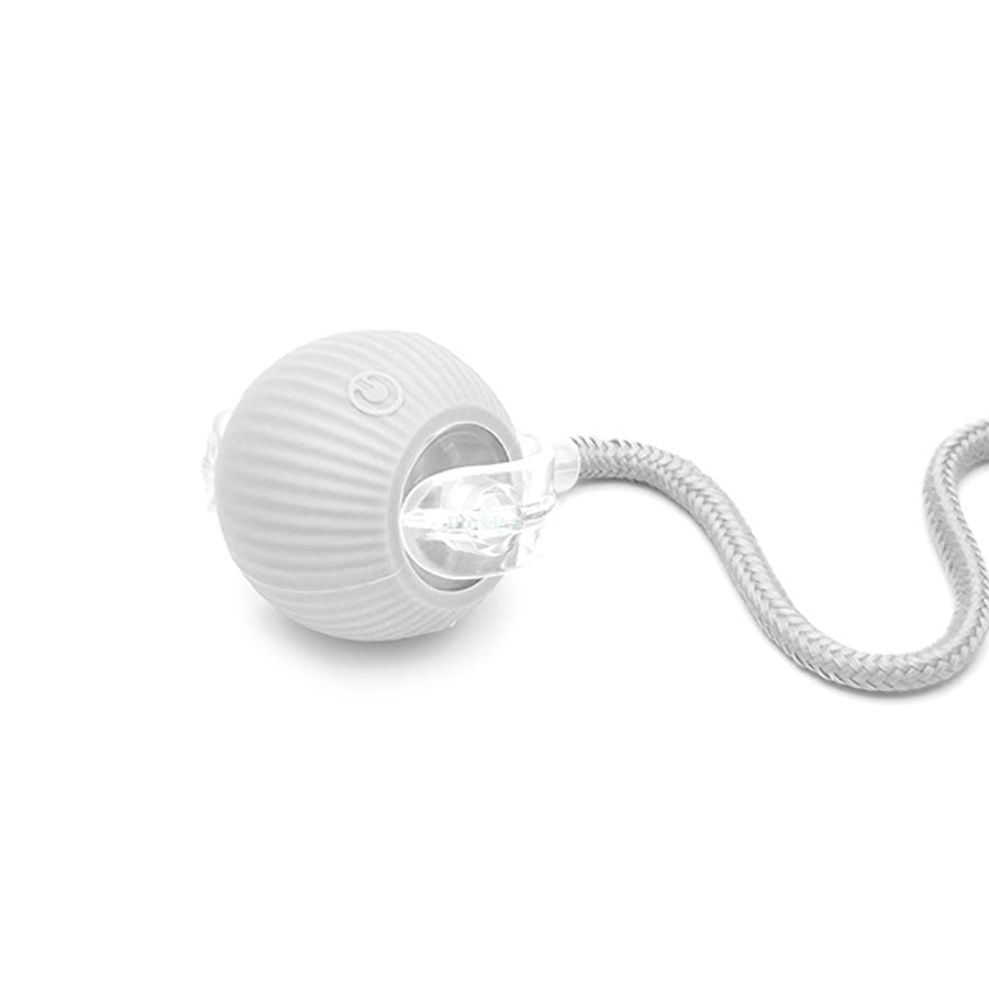 TurboTail™ Interactive Cat Toy