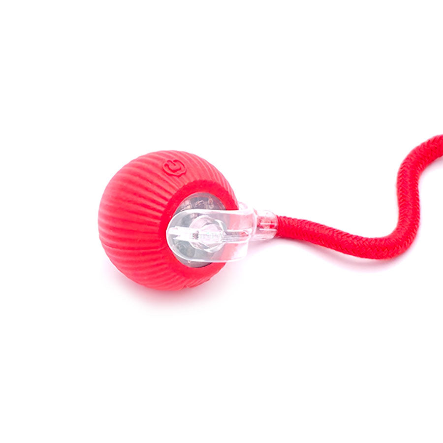 TurboTail™ Interactive Cat Toy