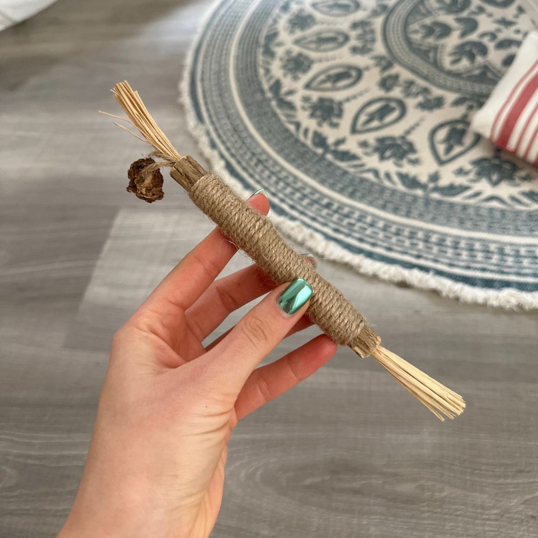 PurePet™ Natural Silvervine Sticks - Dental Chews for Cats