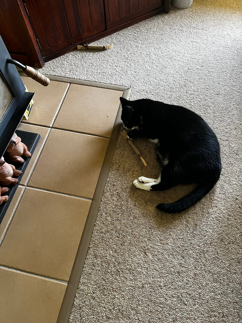 <p><strong>Approved by 21,000+ Healthy Cats!</strong></p>
