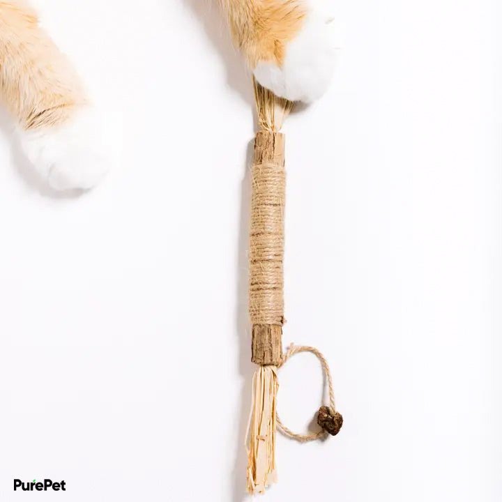 PureHealth™ Premium Natural Dental Chews