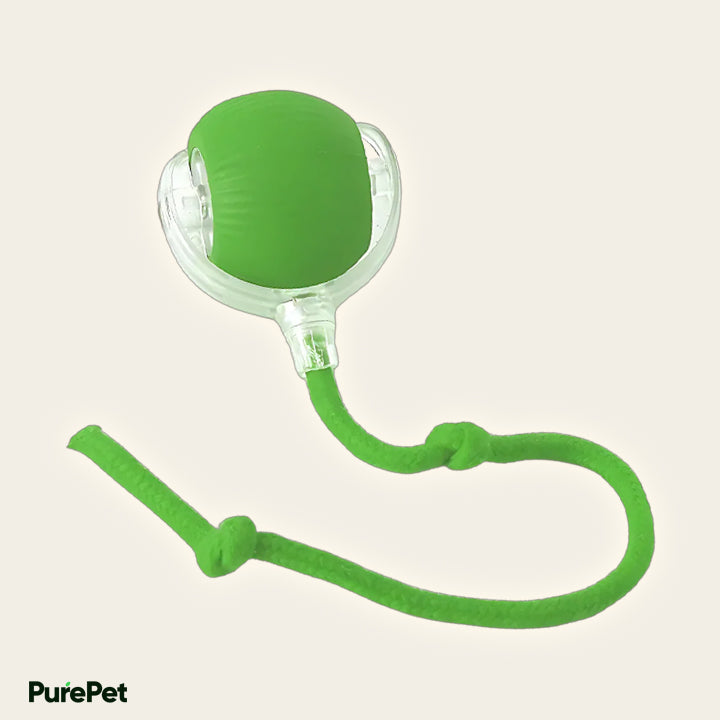 PurePet™ Turbo Tails Interactive Cat Ball