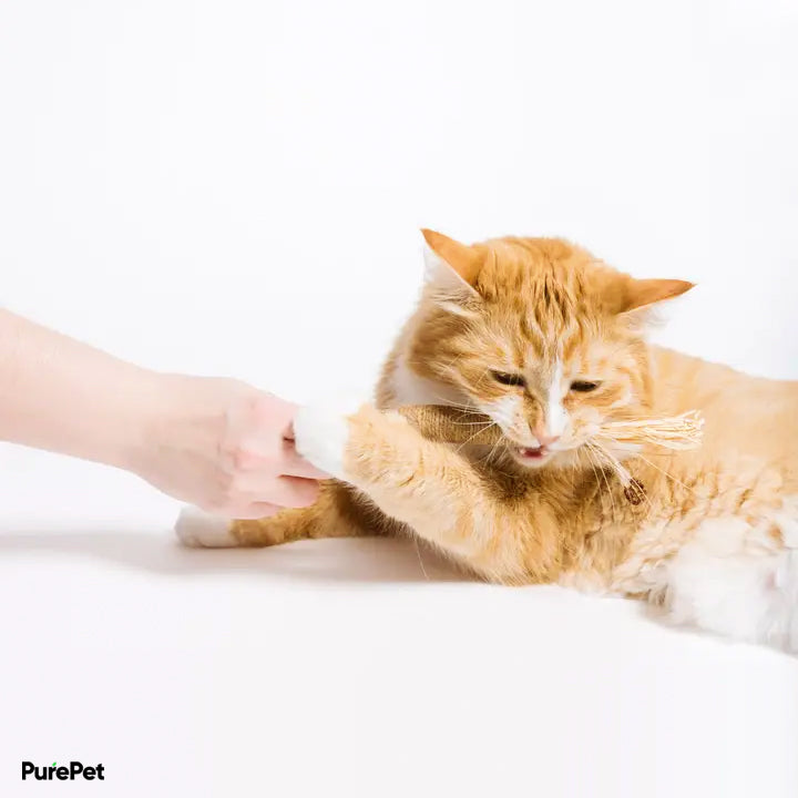 PureHealth™ Premium Natural Dental Chews
