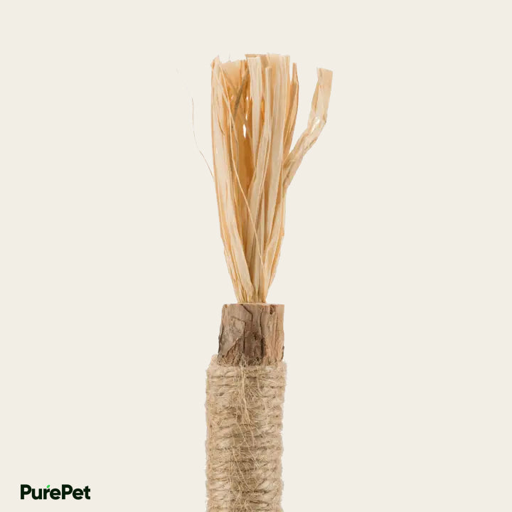 PureHealth™ Premium Natural Dental Chews