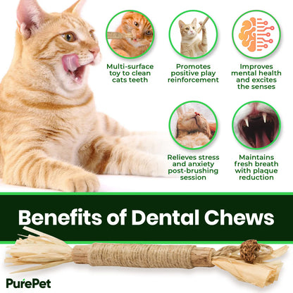PureHealth™ Premium Natural Dental Chews