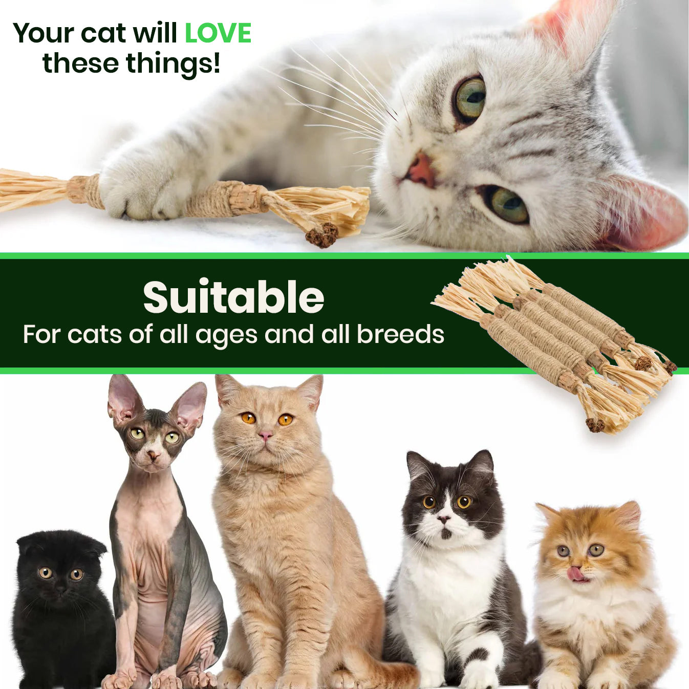 PurePet™ Natural Silvervine Sticks - Dental Chews for Cats