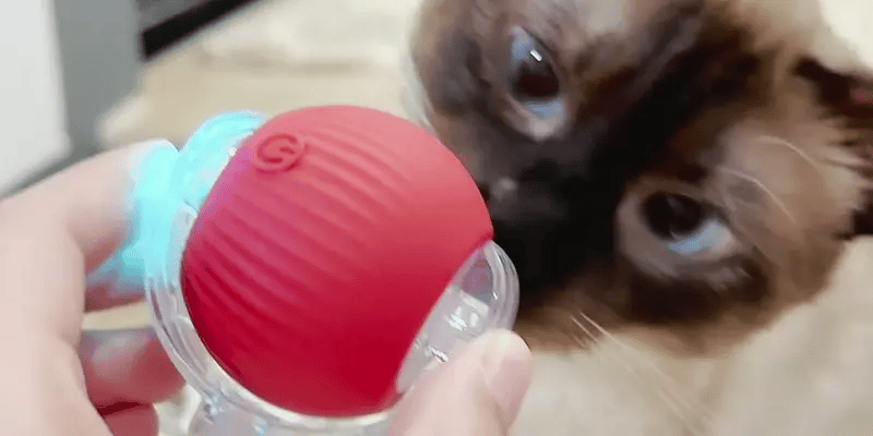 TurboTail™ Smart Rolling Ball Cat Toy - Motion Activated | PurePet AU