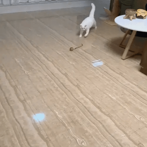 TurboTail™ Smart Rolling Ball Cat Toy - Motion Activated | PurePet AU